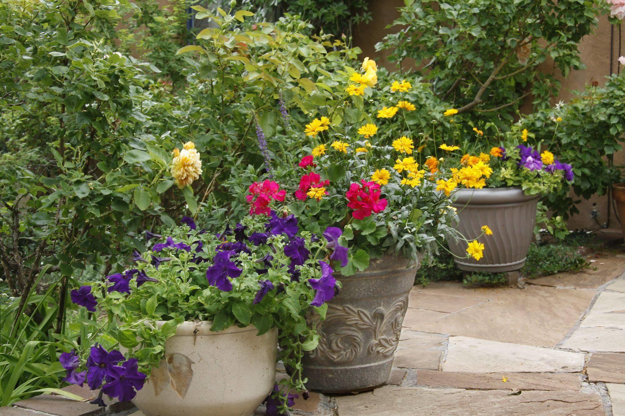 The Madeleine Bed & Breakfast Inn Santa Fe Exterior foto
